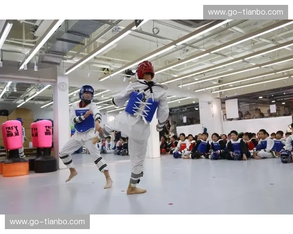 赛程跆拳道：把控赛程，赢在每一次出手